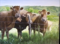 Trois vaches (artiste: mast)