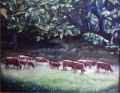 Vaches de Limousin (artiste: mast)